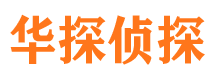 枫溪市私家侦探